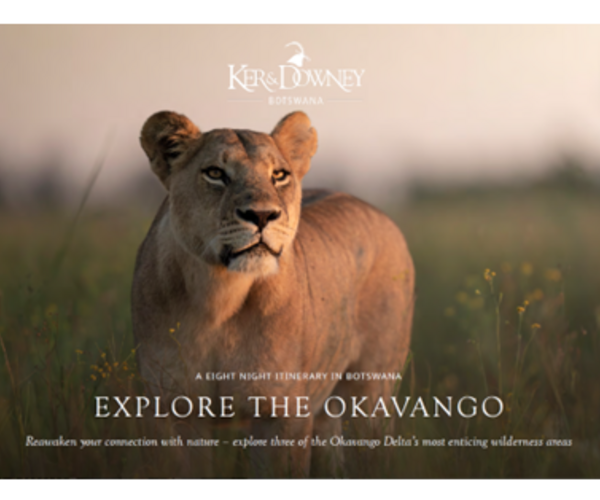Explore The Okavango Journey - 8 nights